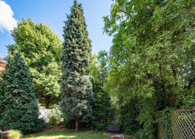 Garten zum gut vermieteten Mehrfamilenhaus in guter Lage von Duisburg-Ruhrort
